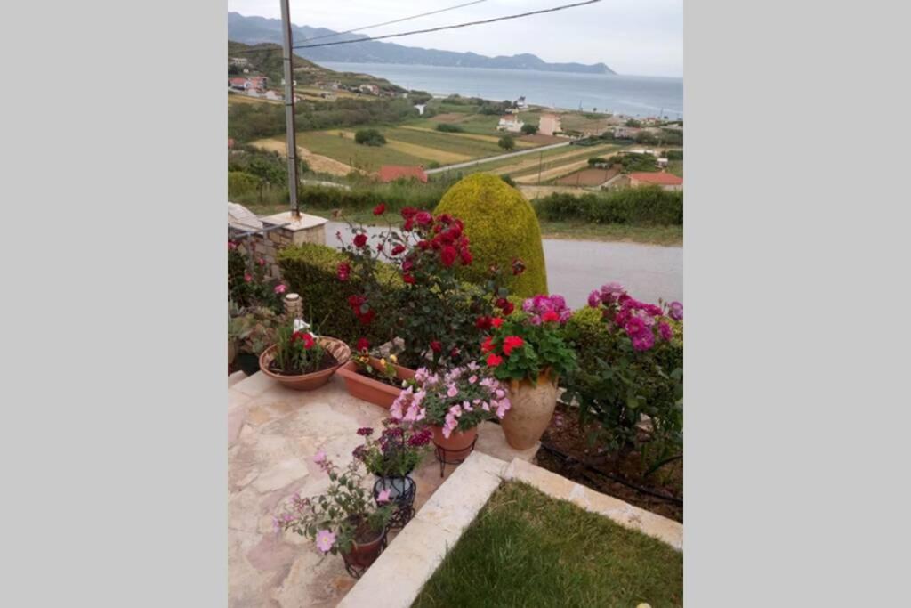 Villa Roses-มอร์เตรี ภายนอก รูปภาพ