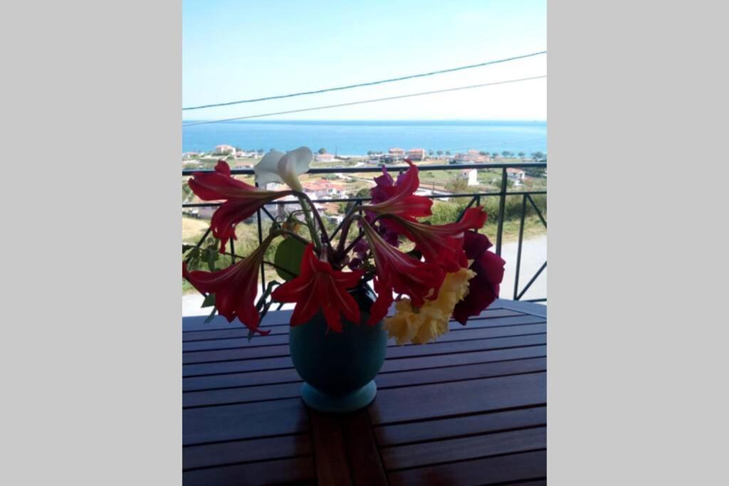 Villa Roses-มอร์เตรี ภายนอก รูปภาพ